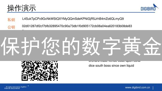 保护您的数字黄金：比特币私钥备份的终极指南【权威观点+目标+隐喻】