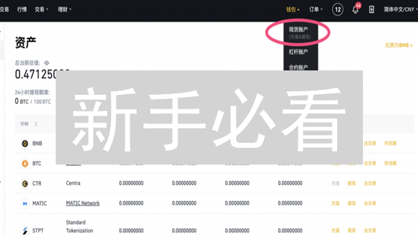 新手必看：如何在币安轻松实现不同币种兑换？(2024实用指南)