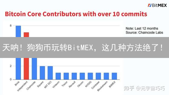天呐！狗狗币玩转BitMEX，这几种方法绝了！