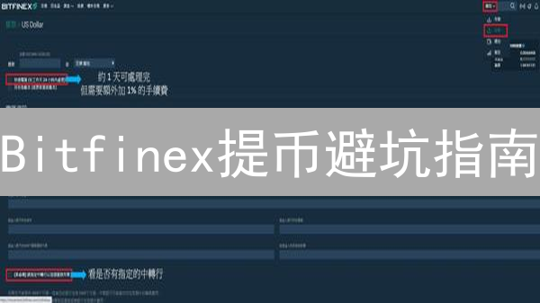 Bitfinex提币避坑指南：不想手续费血亏？这几招教你省！