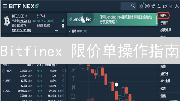 Bitfinex 限价单操作指南：新手必看！ (2024最新)