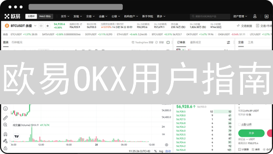 欧易OKX用户指南：数字货币种类全览与投资策略【新手必读】