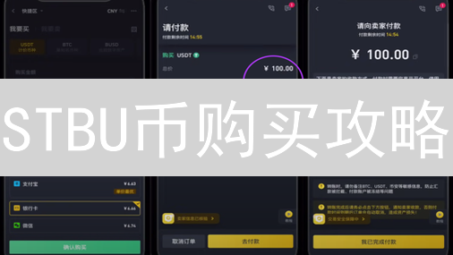 STBU币购买攻略：交易所 vs DEX，哪种方式更适合你？（附最新风险提示）