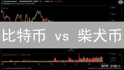比特币 vs 柴犬币：谁能在加密货币的江湖笑到最后？（附前景分析）